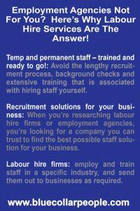 Employment Agencies Not For You Here’s Why Labour Hire Services Are The Answer 682x1024
